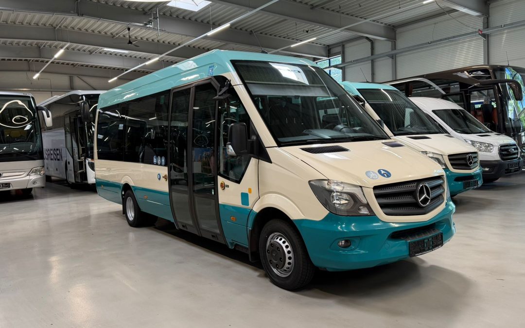 MB City 65 – Euro 6
